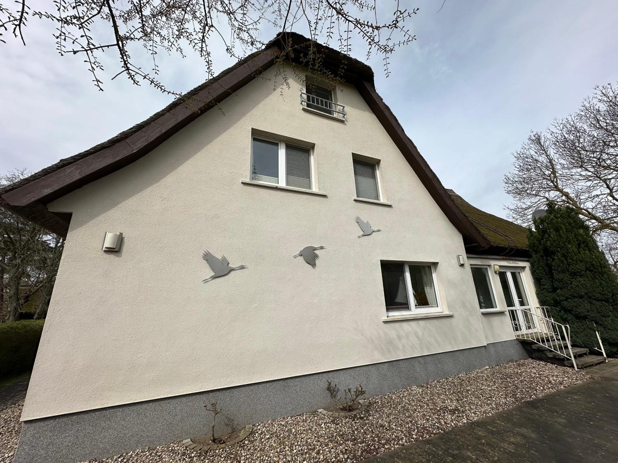 Boddenhaus Darss Lejlighed Wieck Eksteriør billede